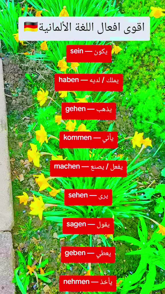 @تعليم اللغة الألماني