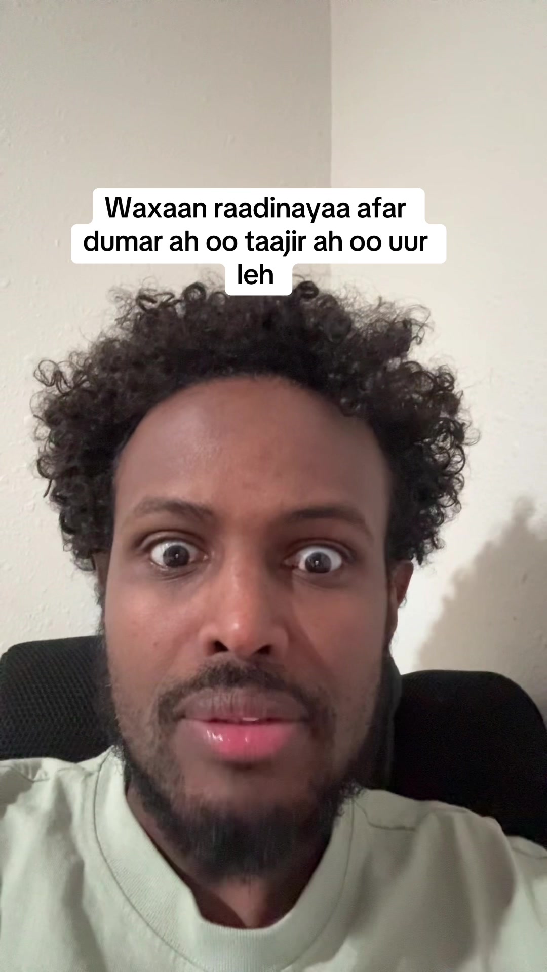 @FarahNEWS