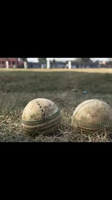 @cricket lovers