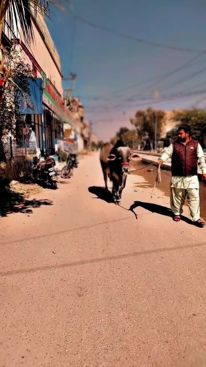 @Nasir Ali