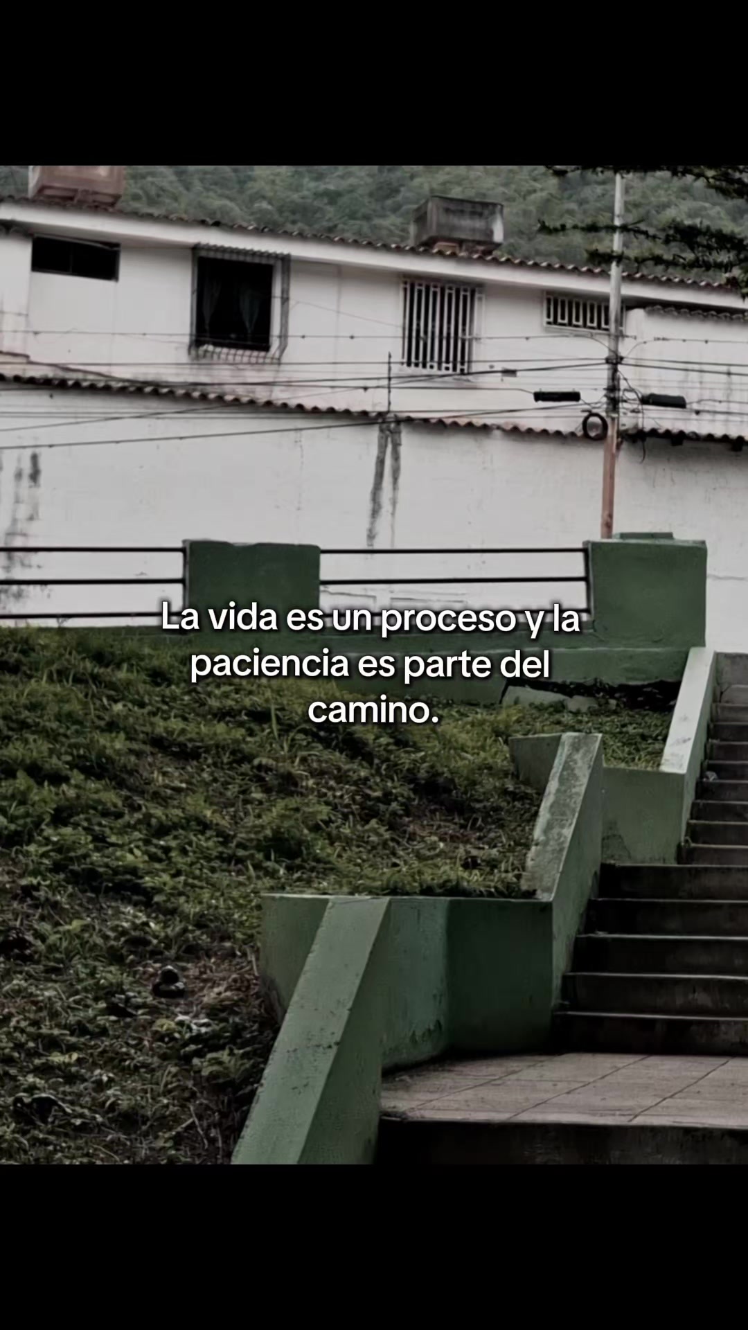 @El-Comis El Rey de la Realidad