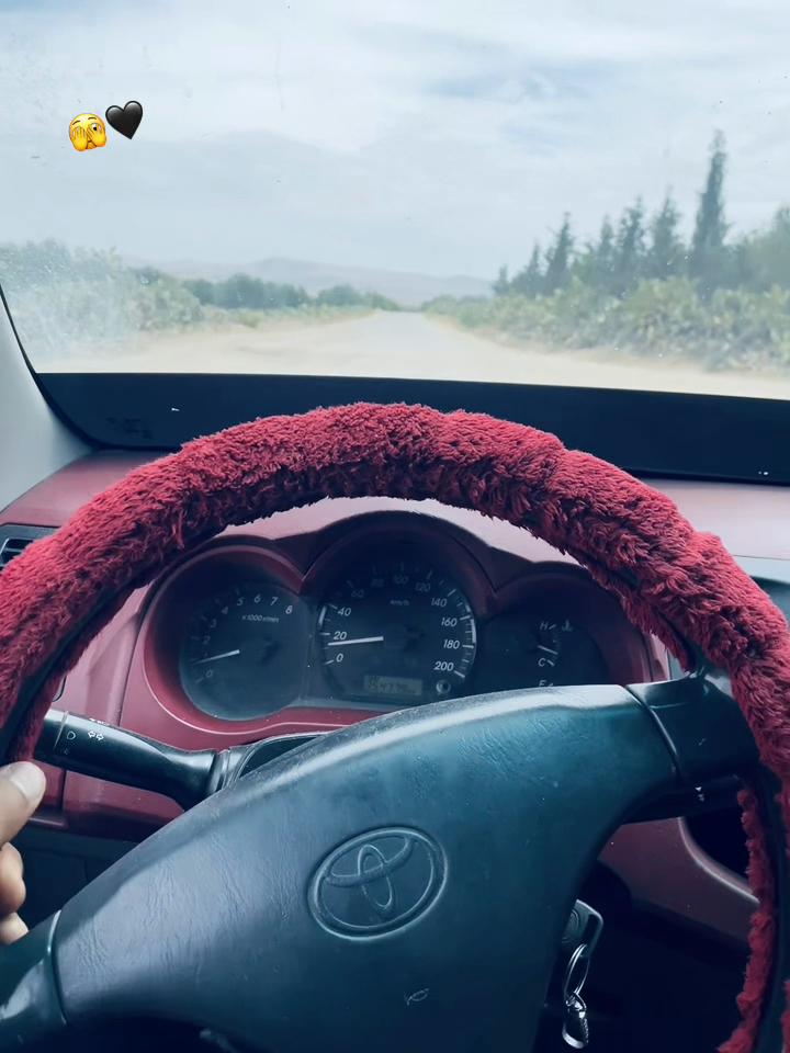 @Msw_Lba9