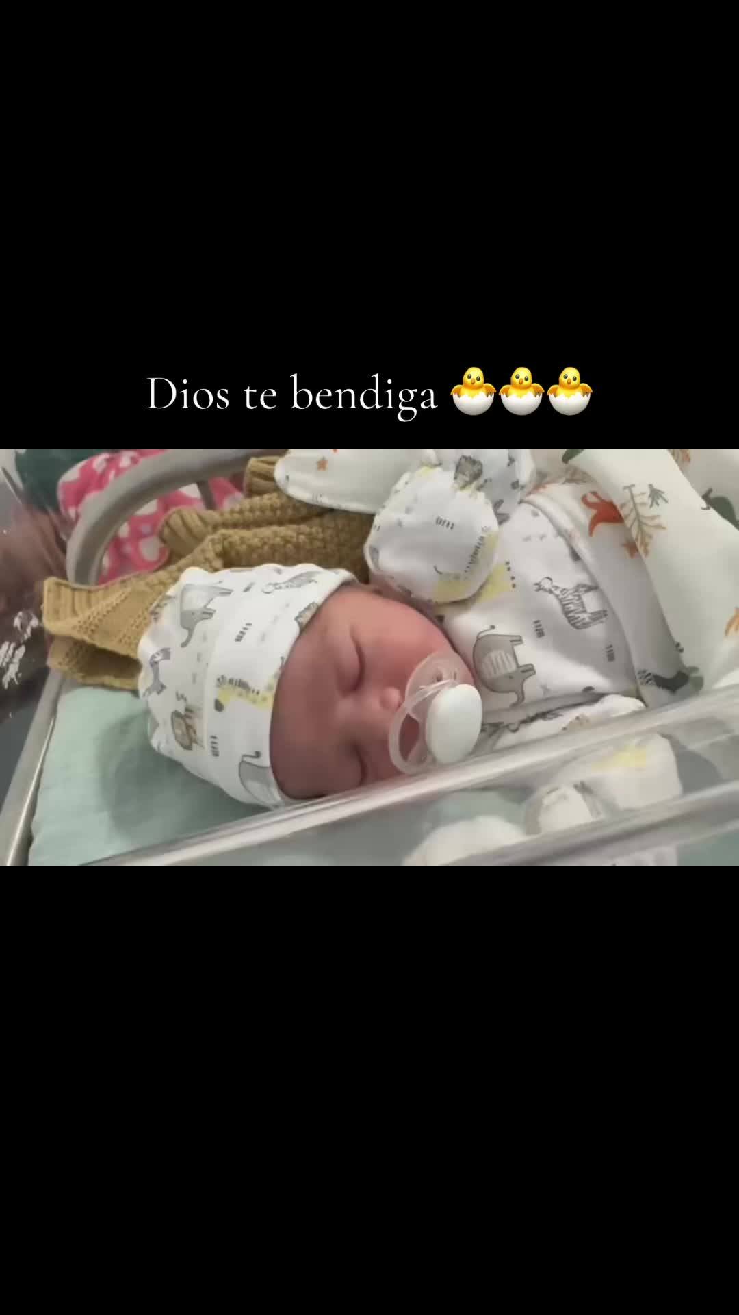 @dashycapella