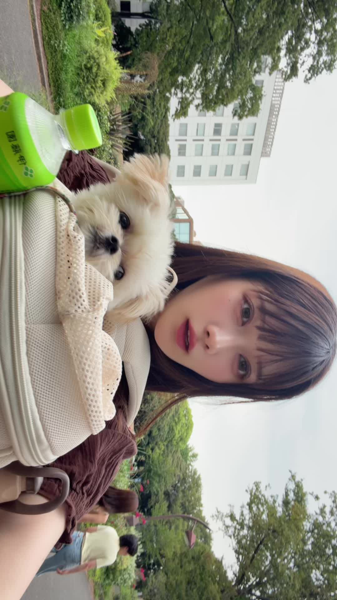 @お市です、