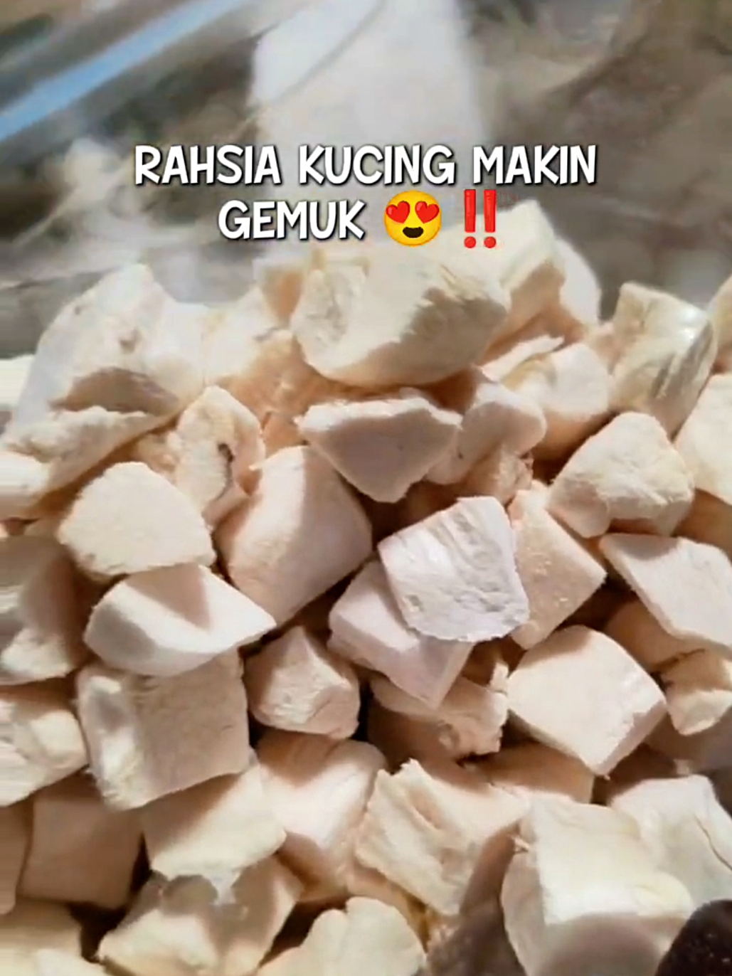 @Norazrena | Racun Tiktok
