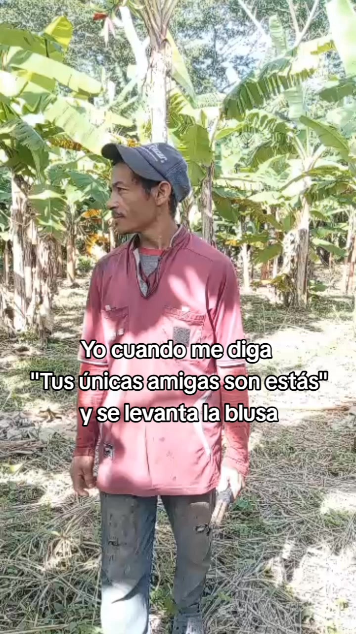 @kapetillo