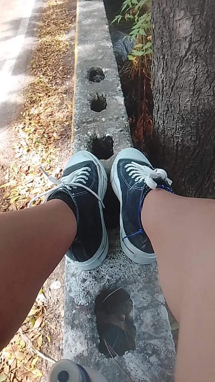 @suchitediana