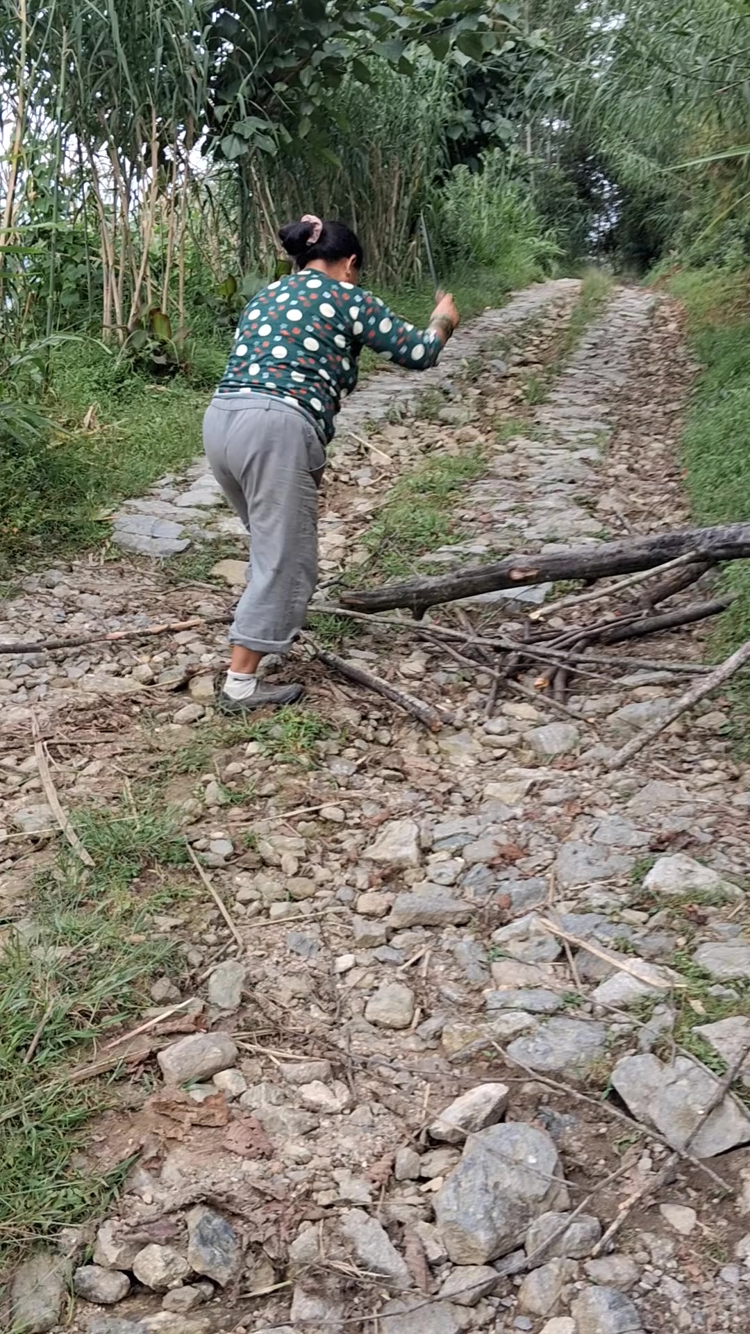 @Krishna Mangyung