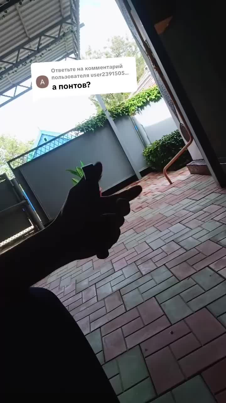 @Black_lion