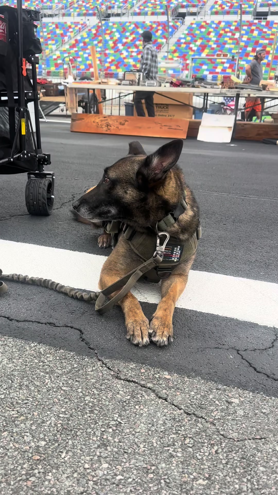 @K9.corporal