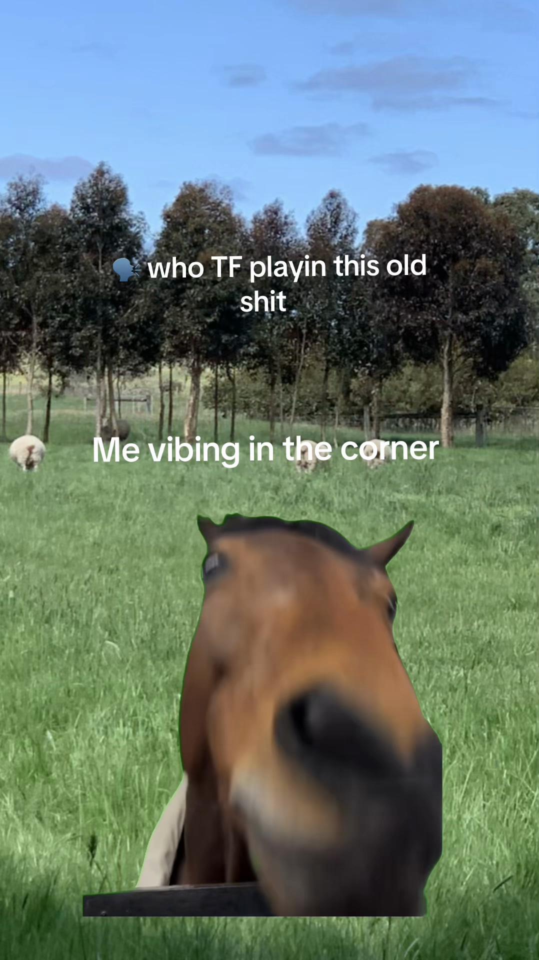 @Kim