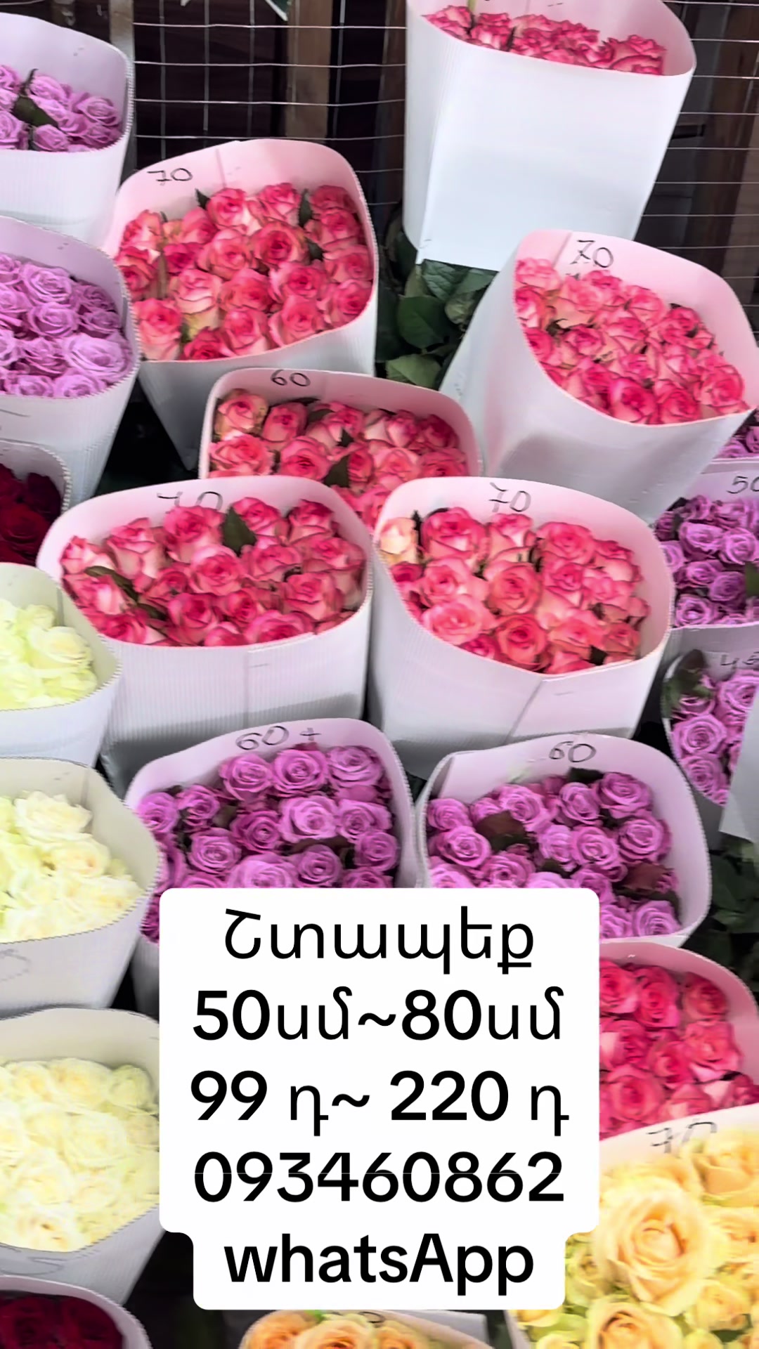 @Ծաղիկներ&ensp;Melex