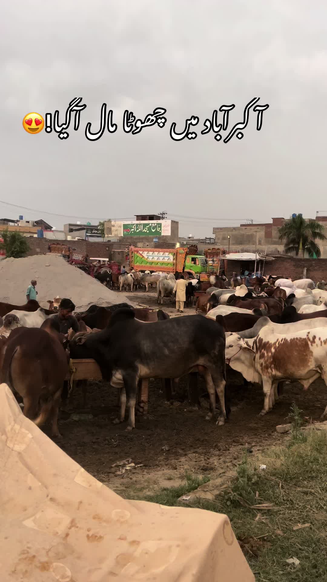 @ASHIR SIALKOTI