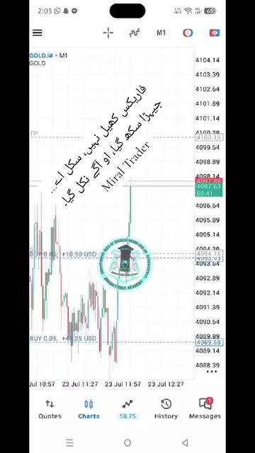 @Miral Trader 📊