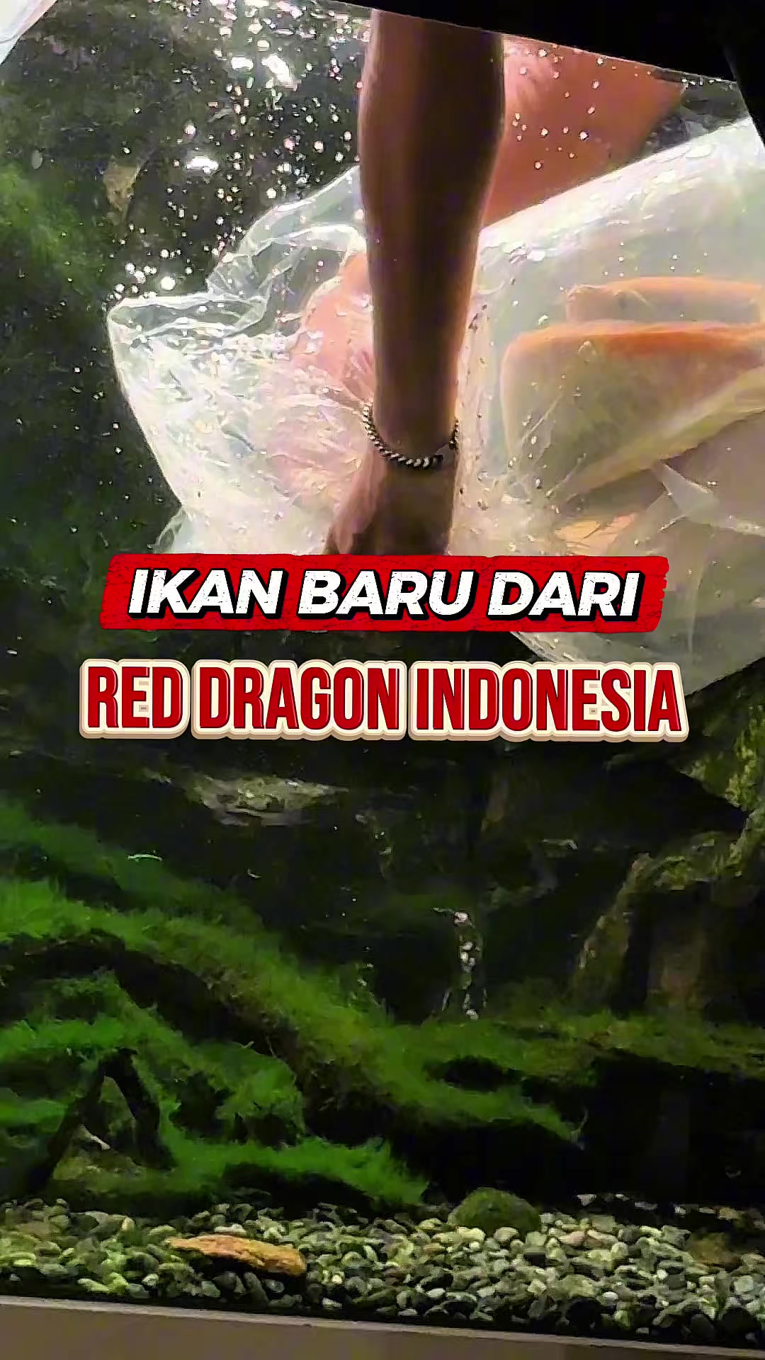 @IRFANHAKIM75