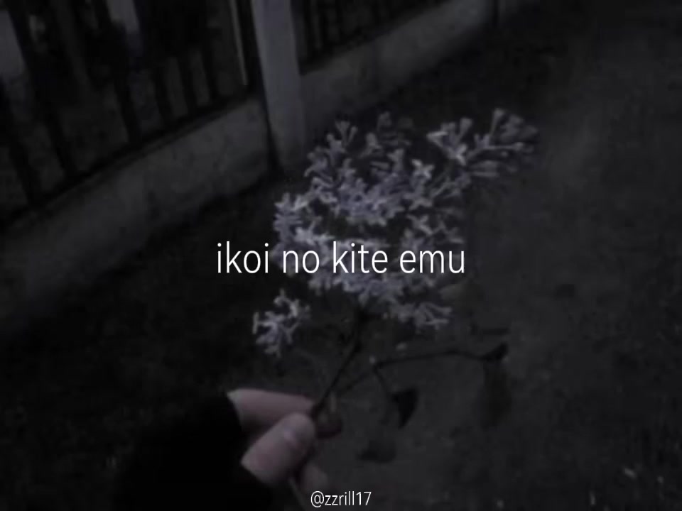 @zzrill17🐈&zwj;⬛
