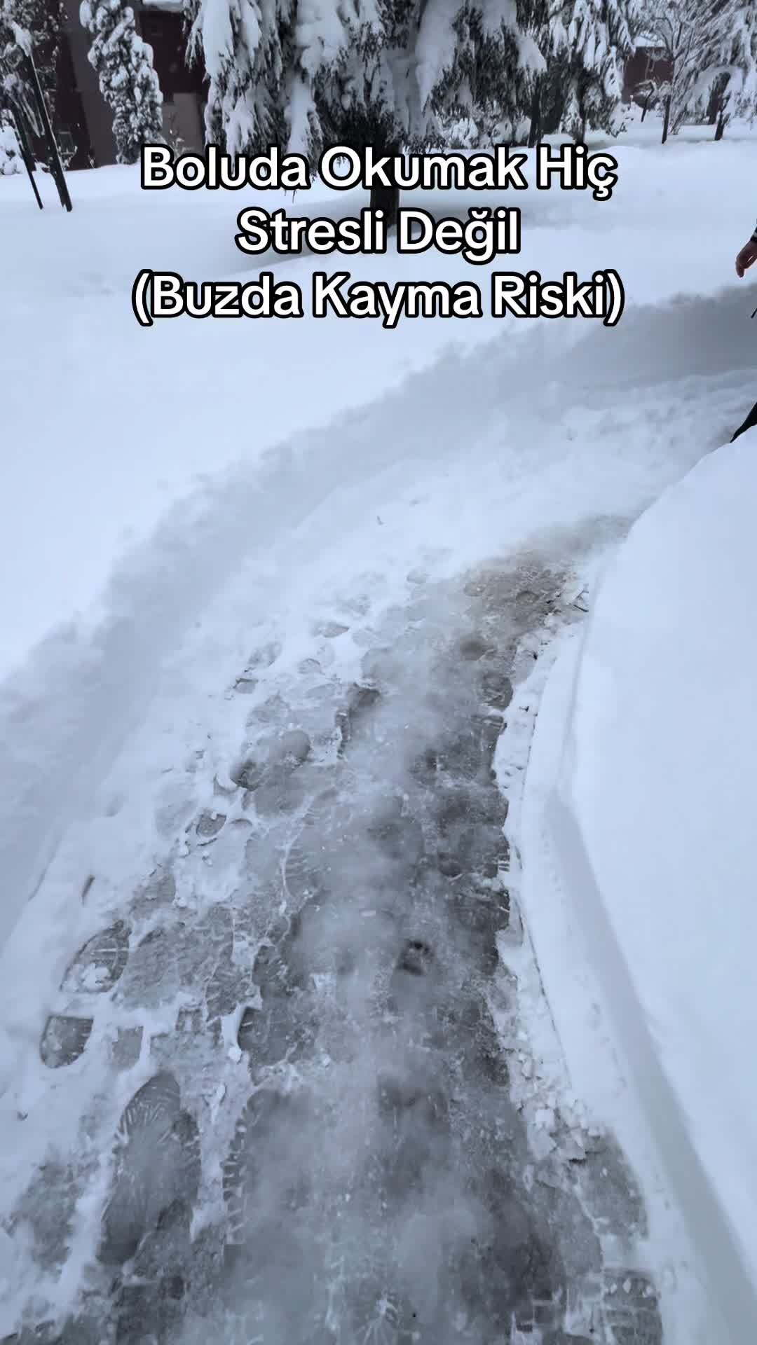 @Yücel Atik