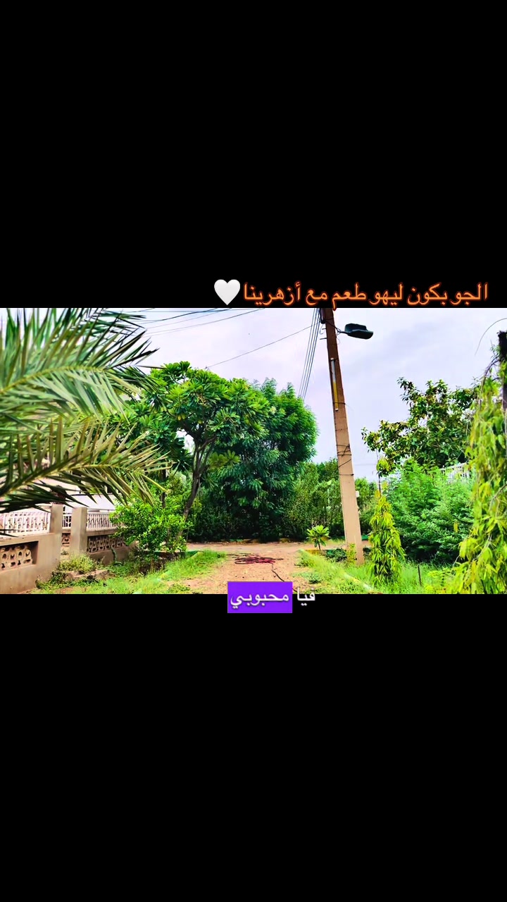 @ود عـبد الله _ Wd Aвdallaн
