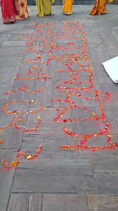 @Anjani Thakur🌻🌻