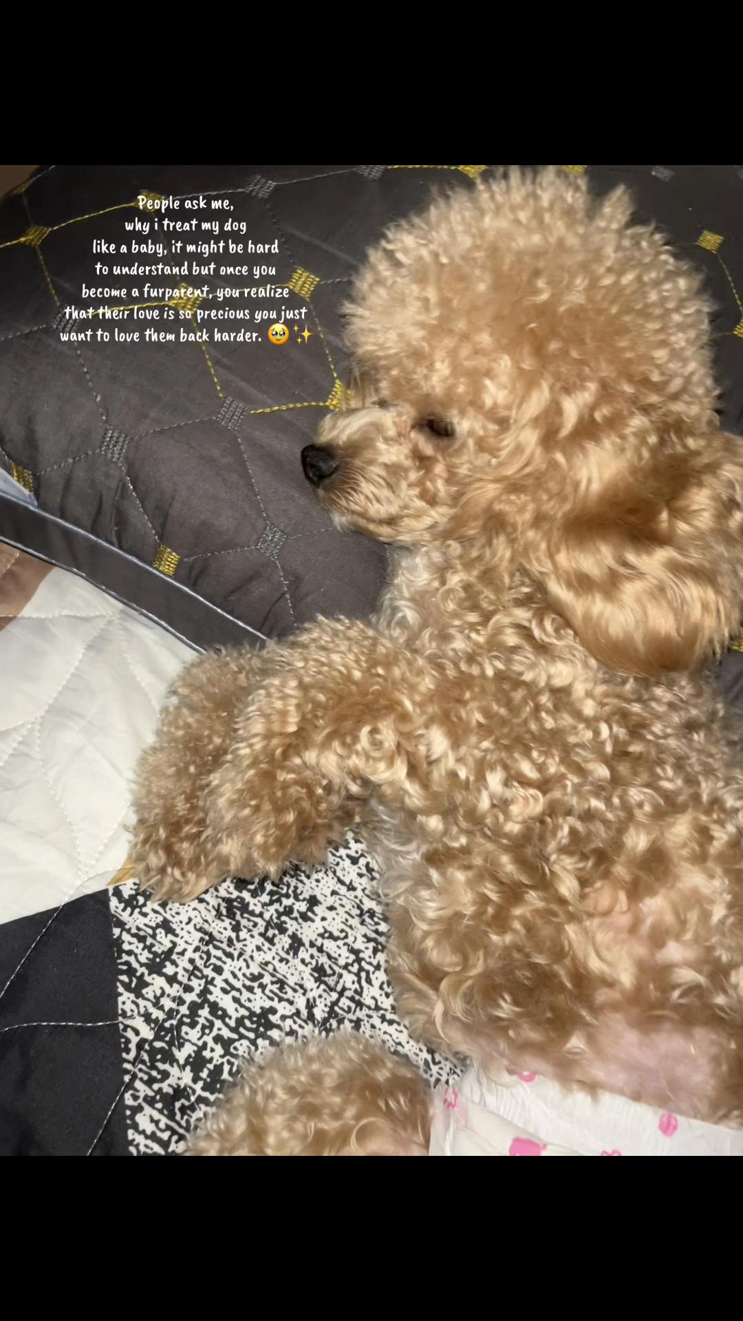 @mitchcangayo