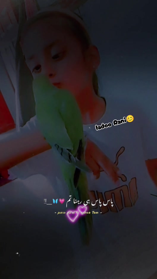 @Maham Faisal