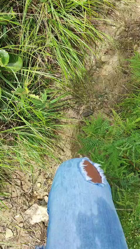 @Majúu leão