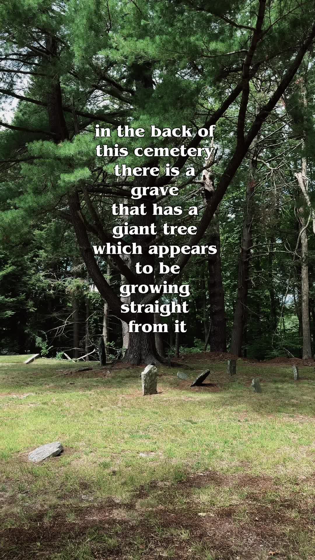 @Morgan ✨🪦⚔️🔮