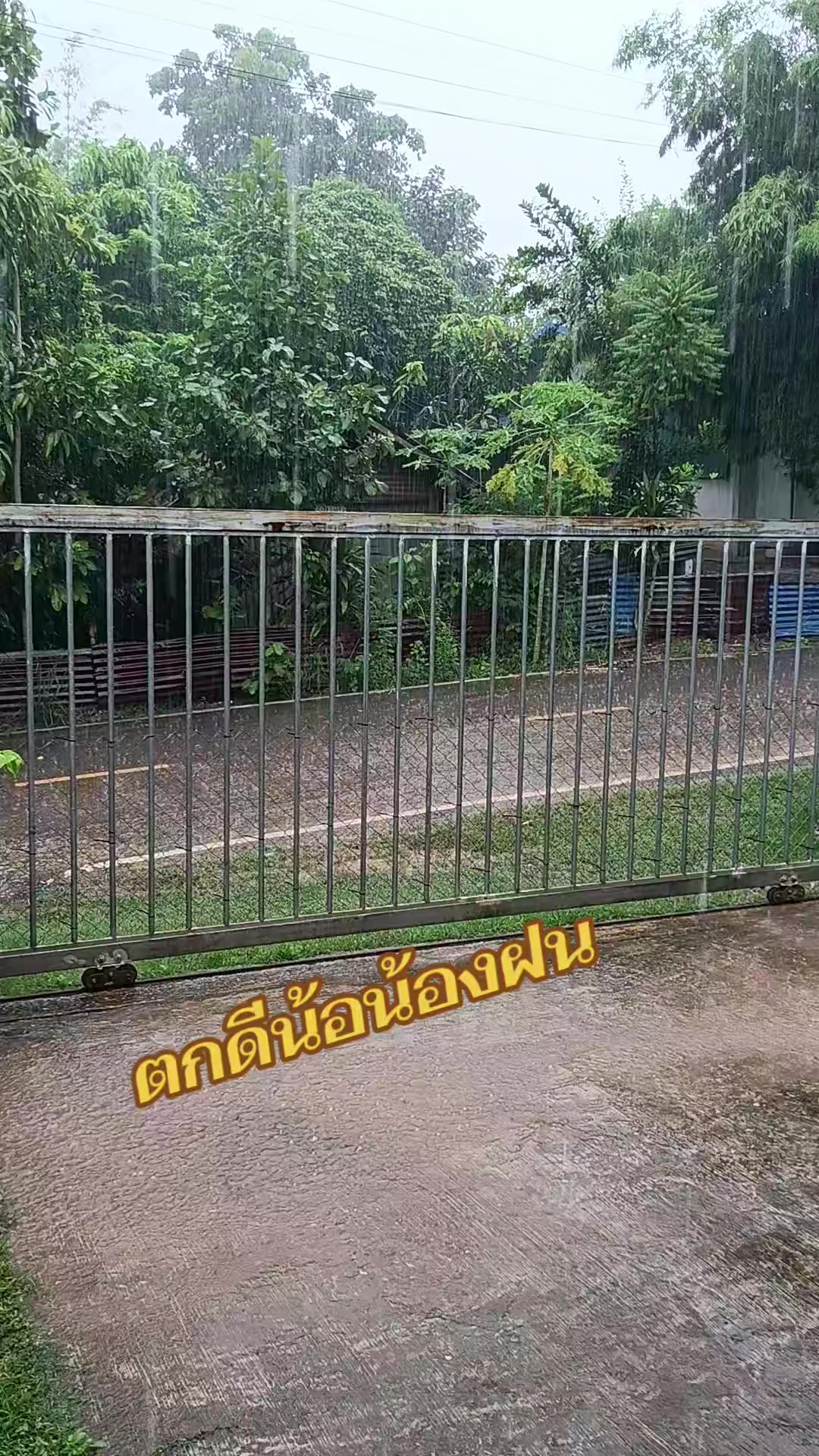 @pranee