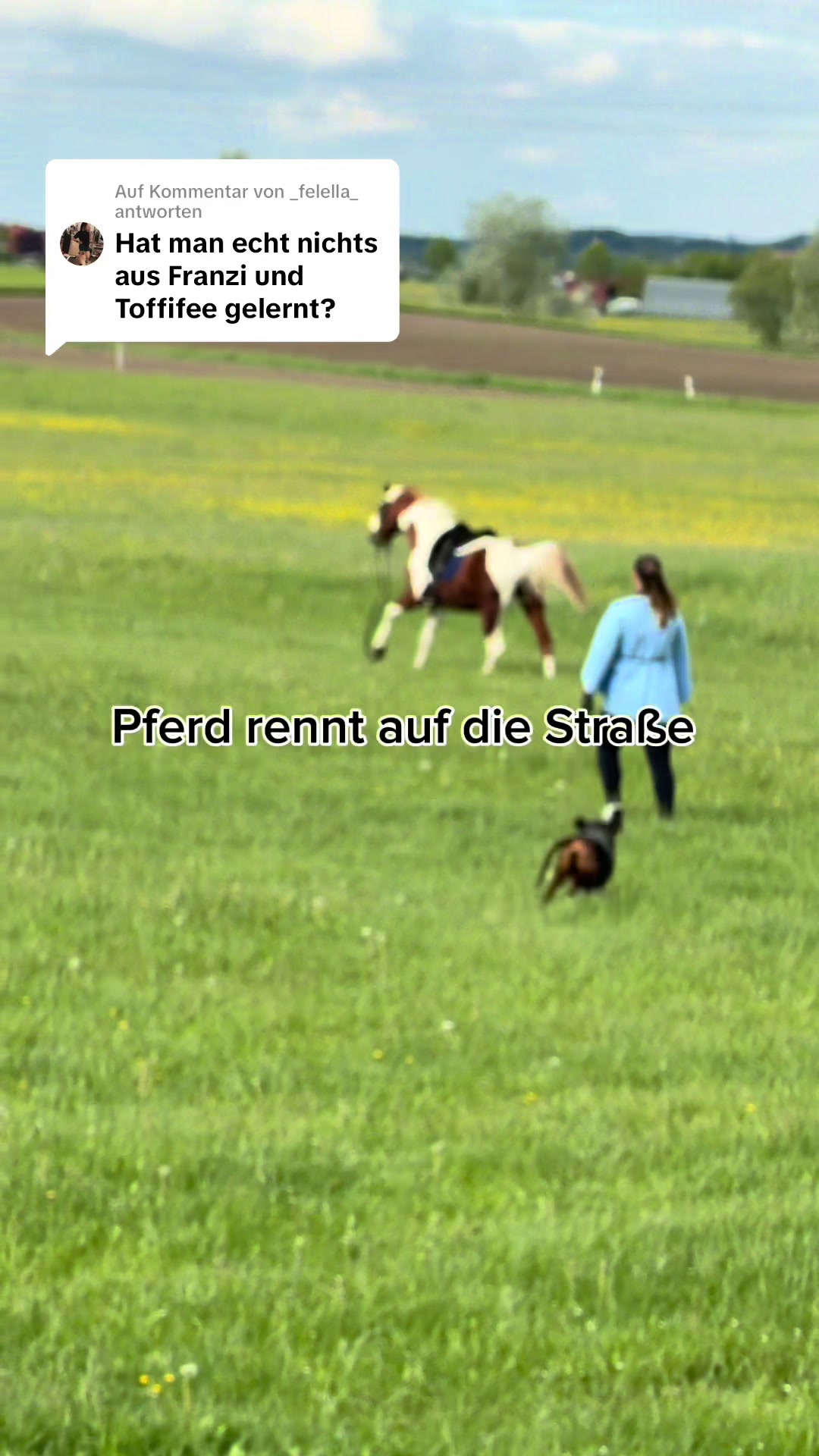 @Letynnxhorses
