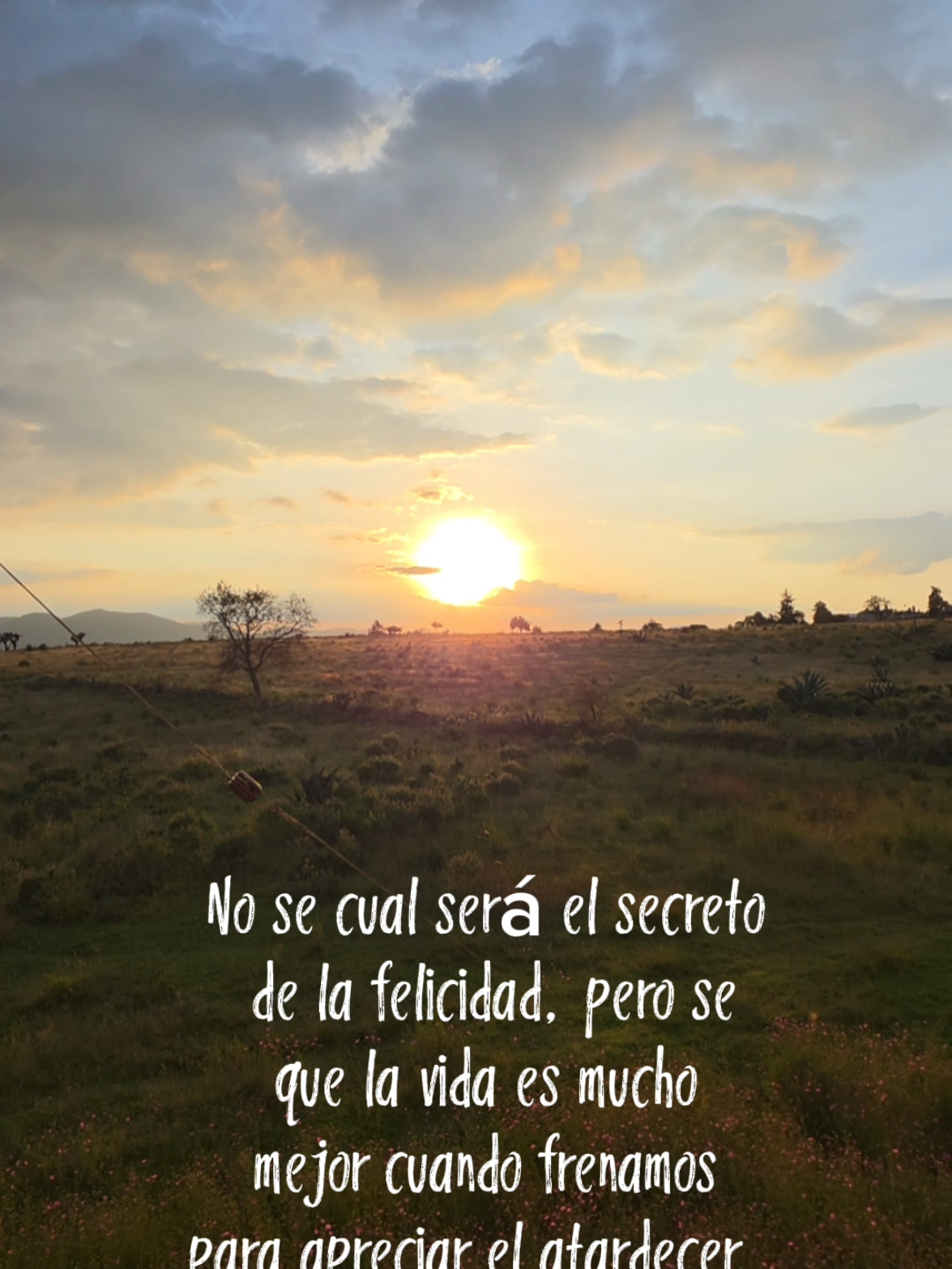 @leo_goncas