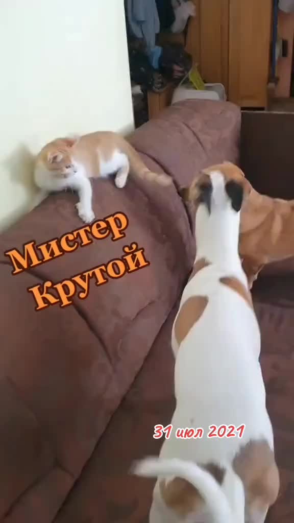 @ТILZIT 88-90