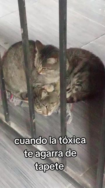 @el fantasma