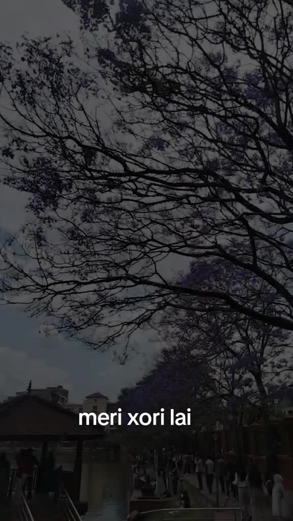 @rukukarkiadhikari