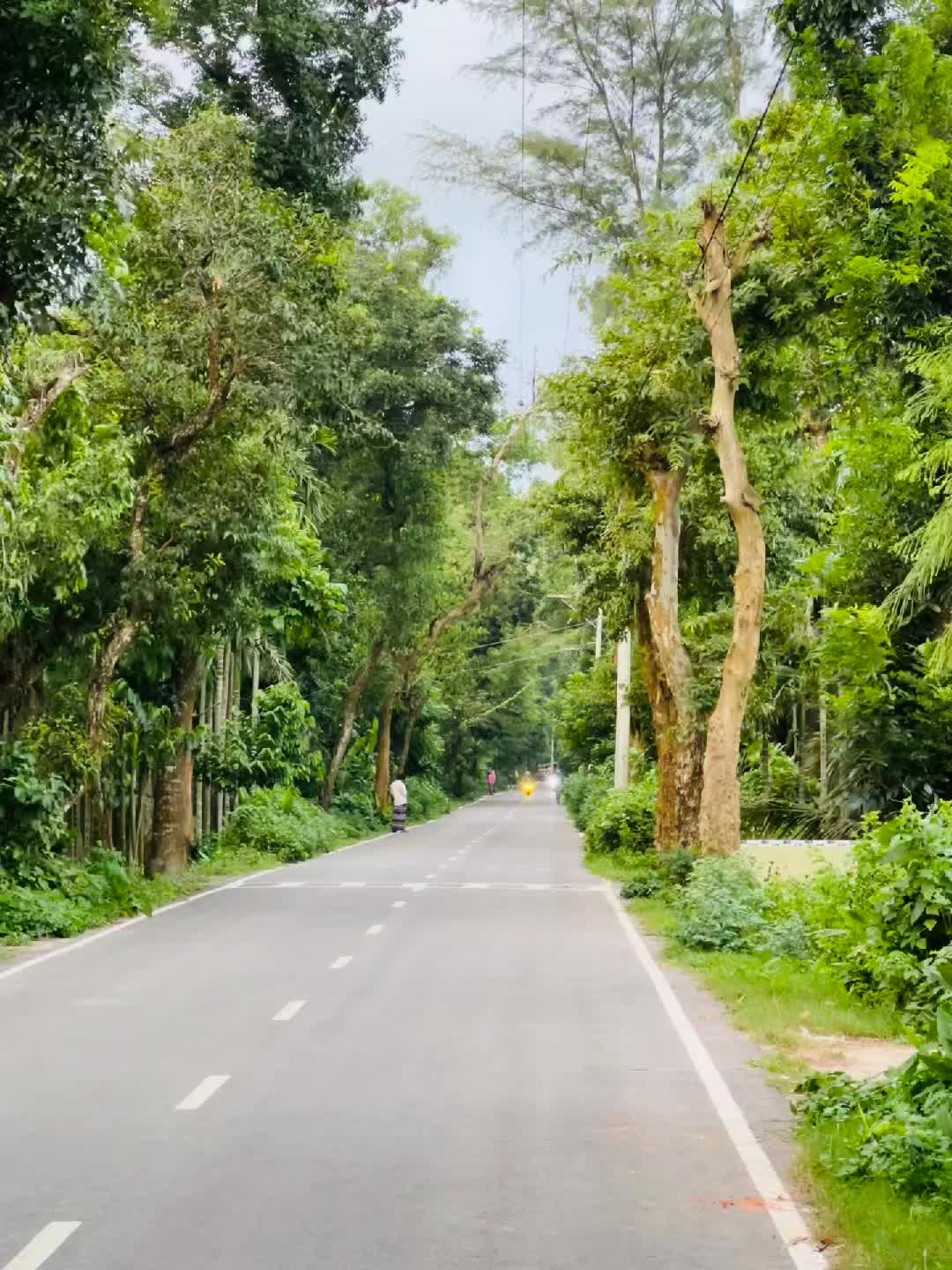 @ASIF 🕊️