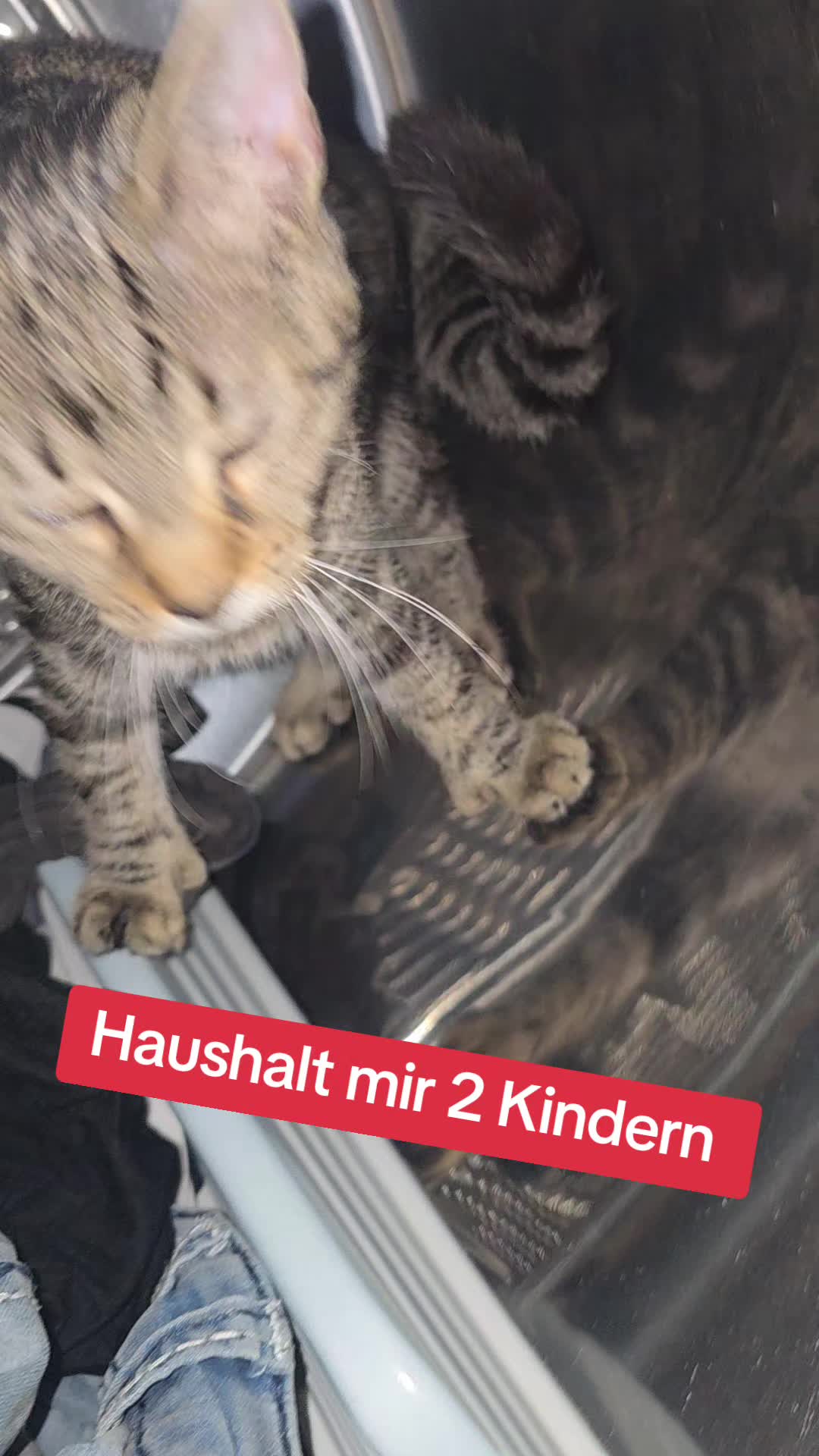 @Janine&Schatzi die echten