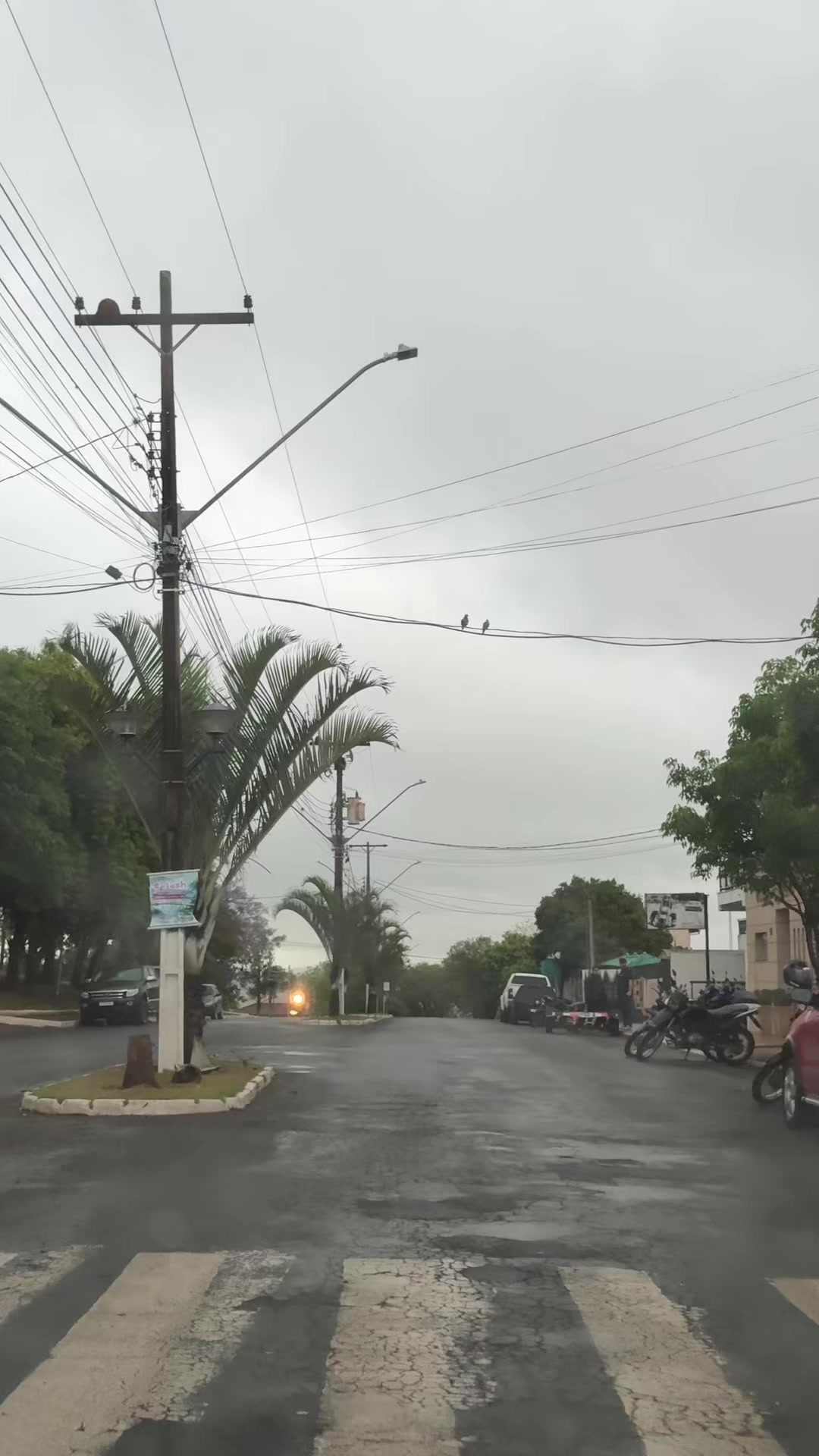 @Siqueira Campos Mil Grau