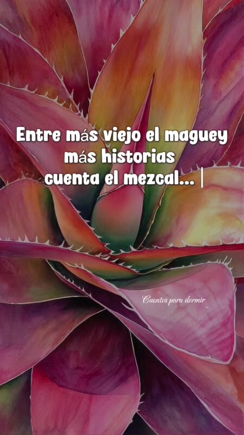 @Cuentos para dormir