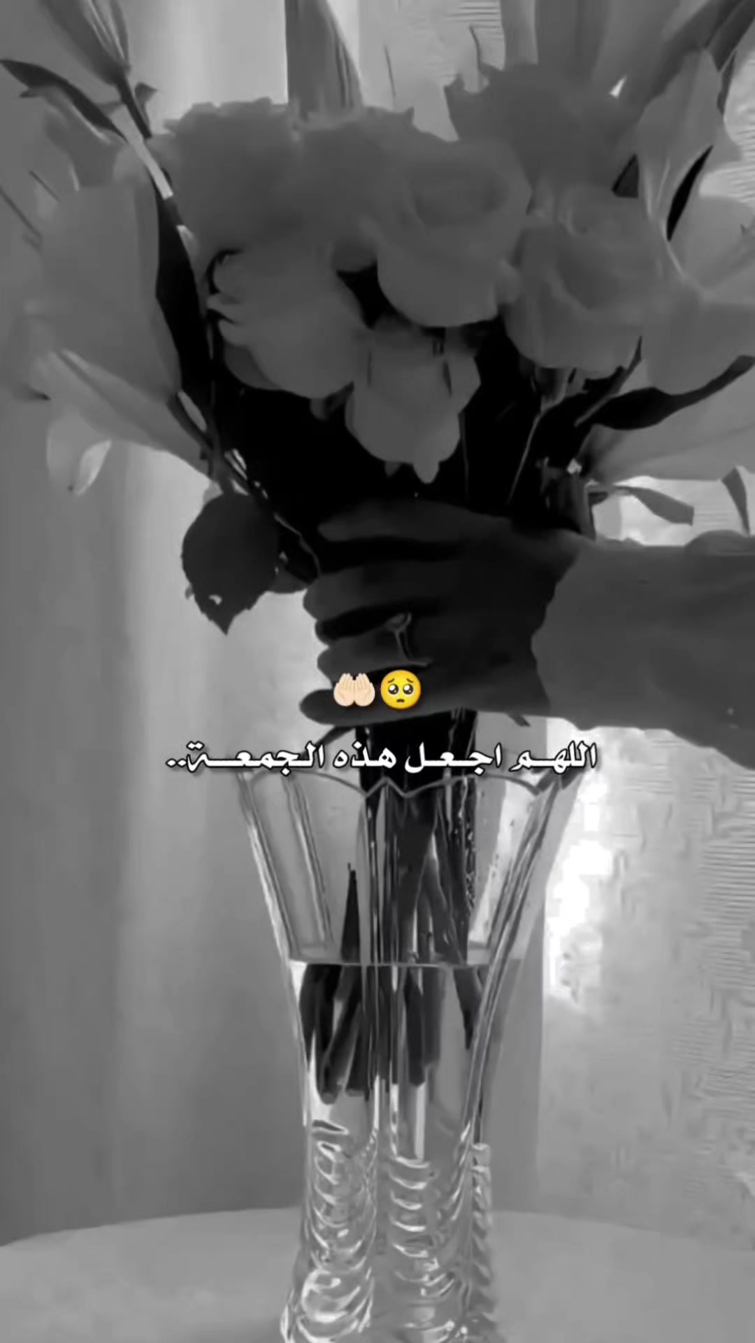 @♛أمـيـࢪة 𝐀𝐦𝐢𝐫𝐚♛