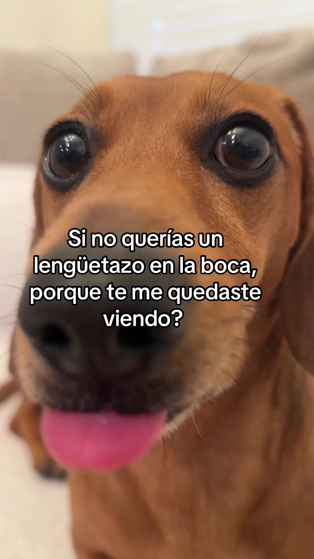 @Slinky Severus-Doo
