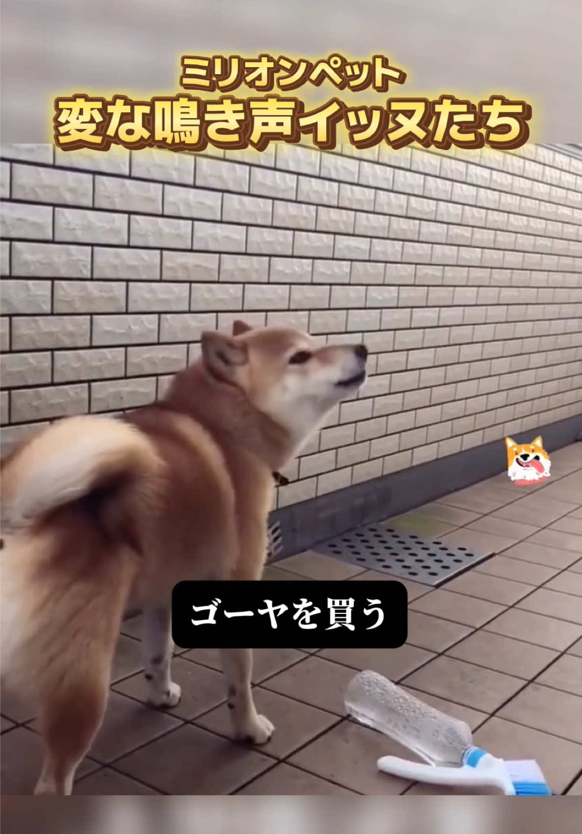 @ミリオンペット