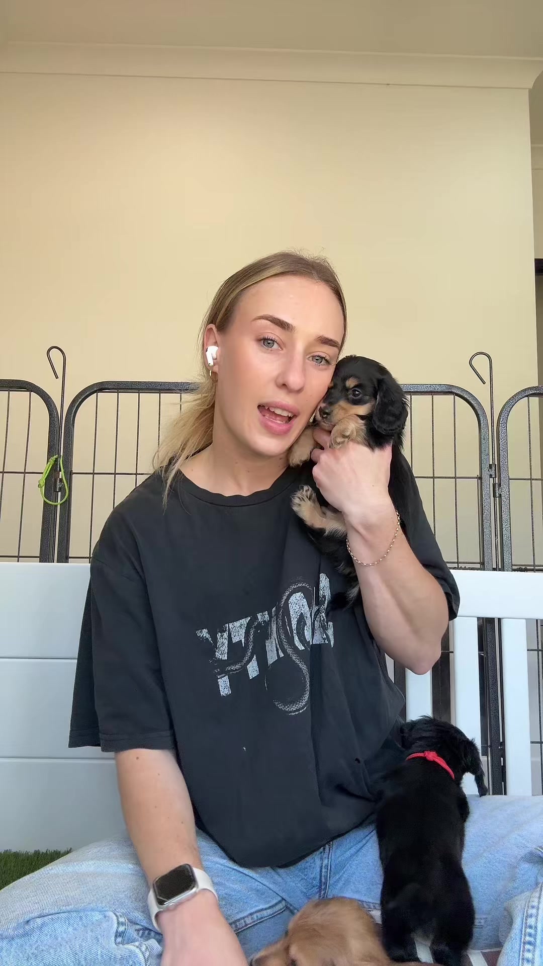 @Dachshund Dynasty