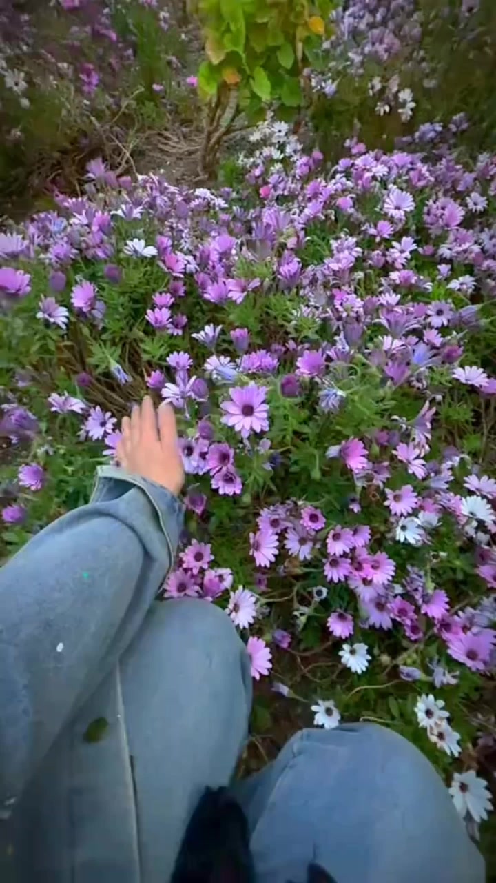 @ɯǝlɐnʞolı