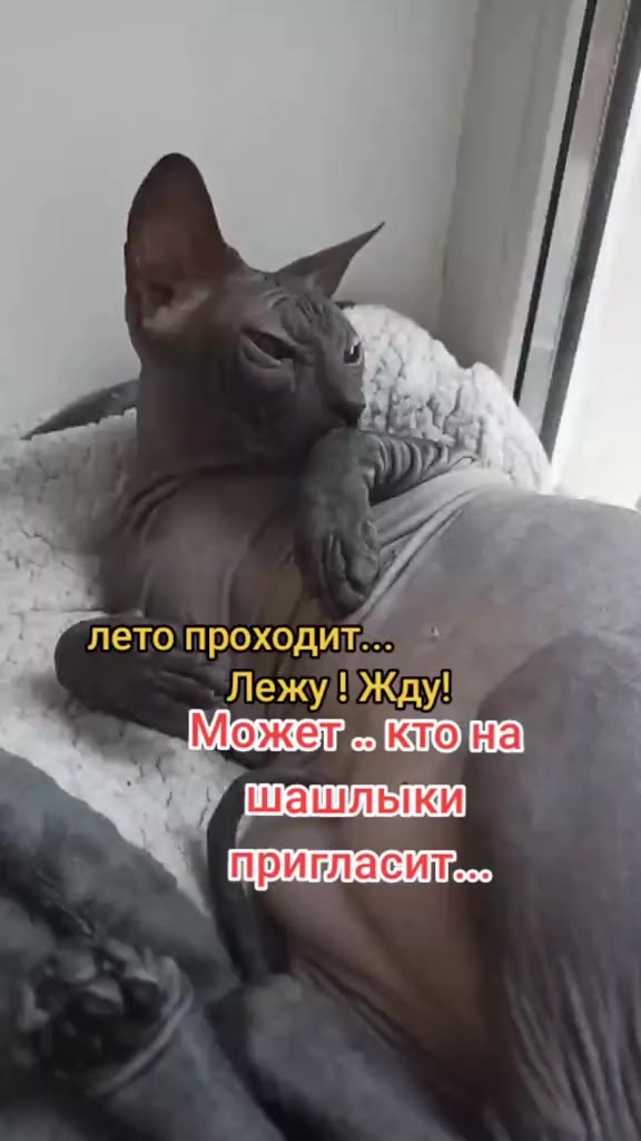 @Юморок под вечерок