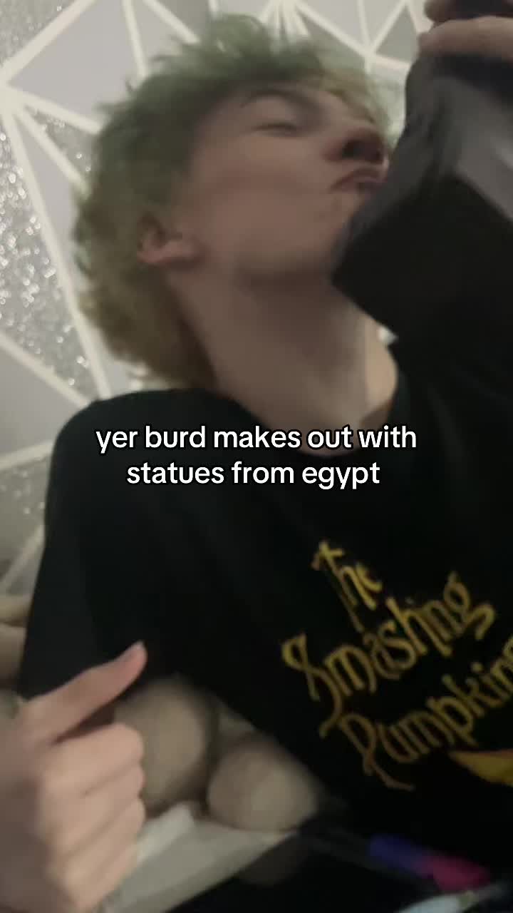 @🪽