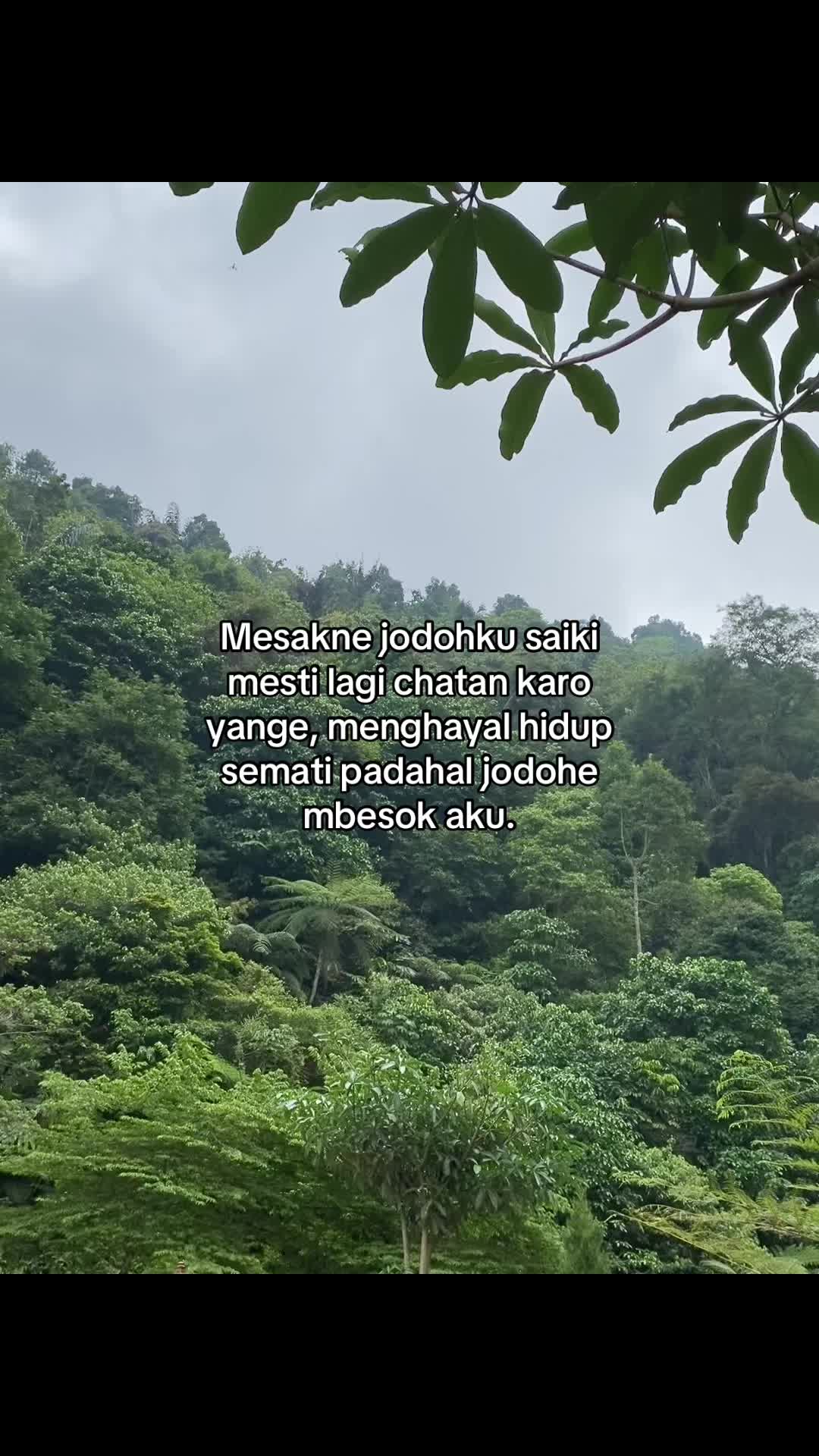 @๐๐๐ง๐ข๐๐ฃ๐จ๐ฎ๐๐
