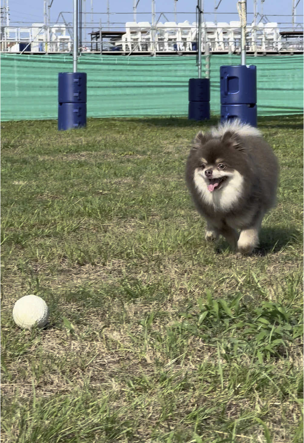 @チャック🐶