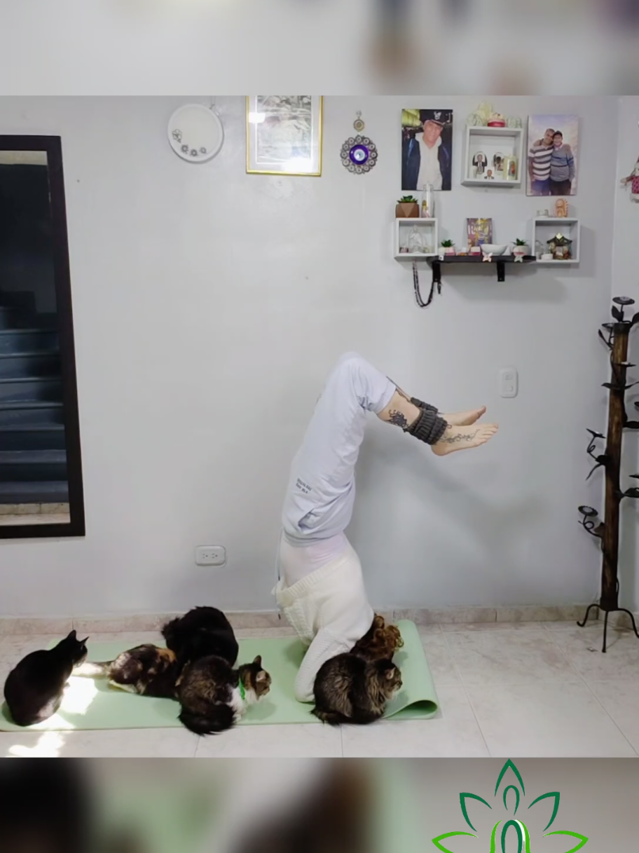 @Saraicita Yoga