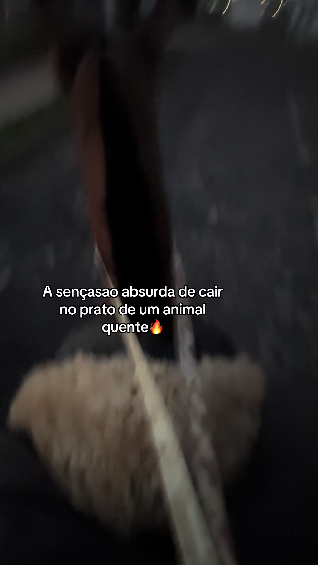 @lamb