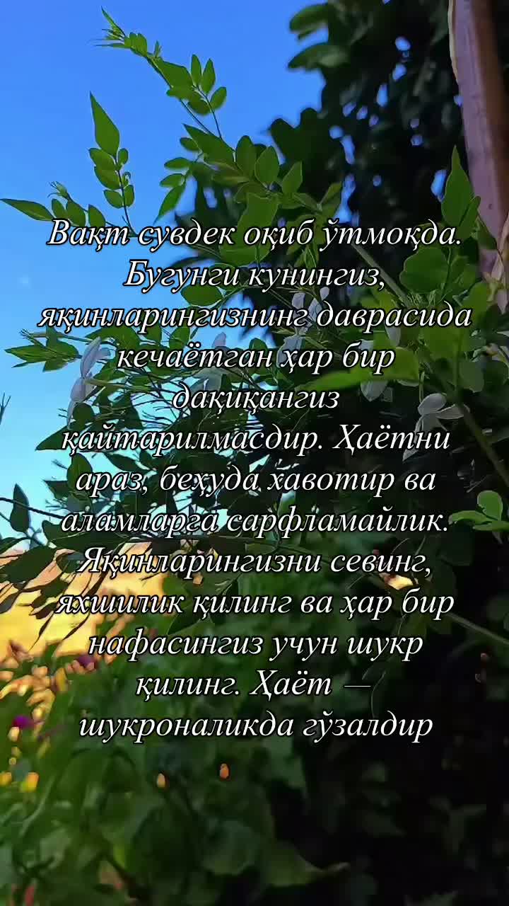 @shahnoza_070