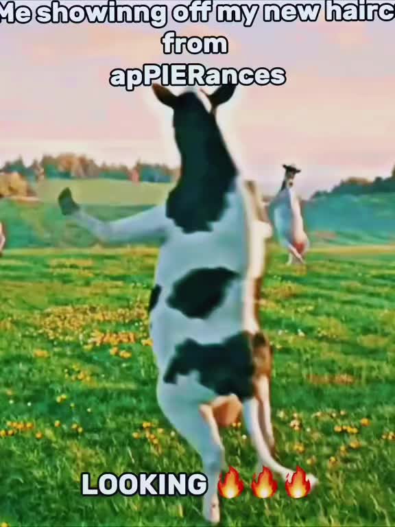 @appierances